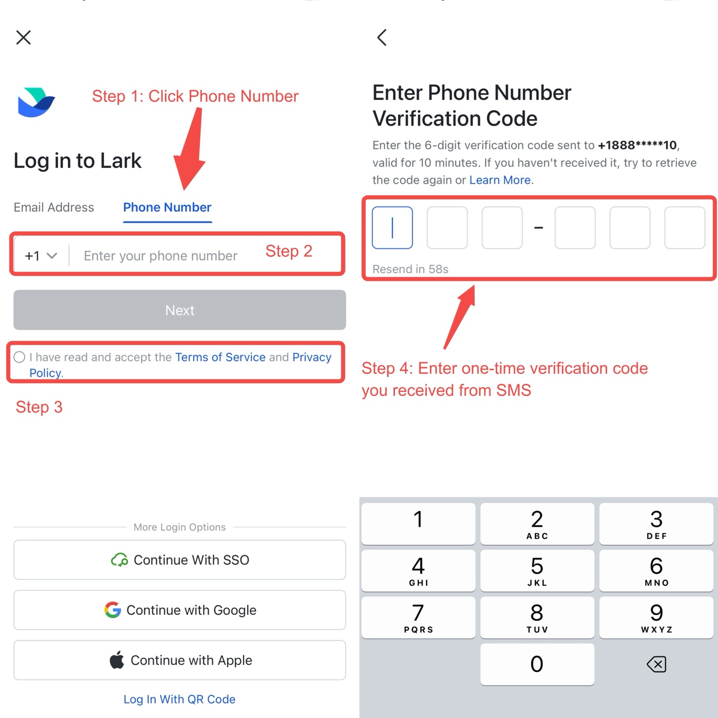 Login to Lark App